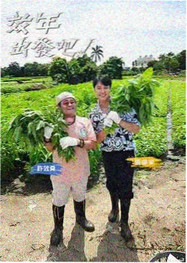 厨房风暴 海报